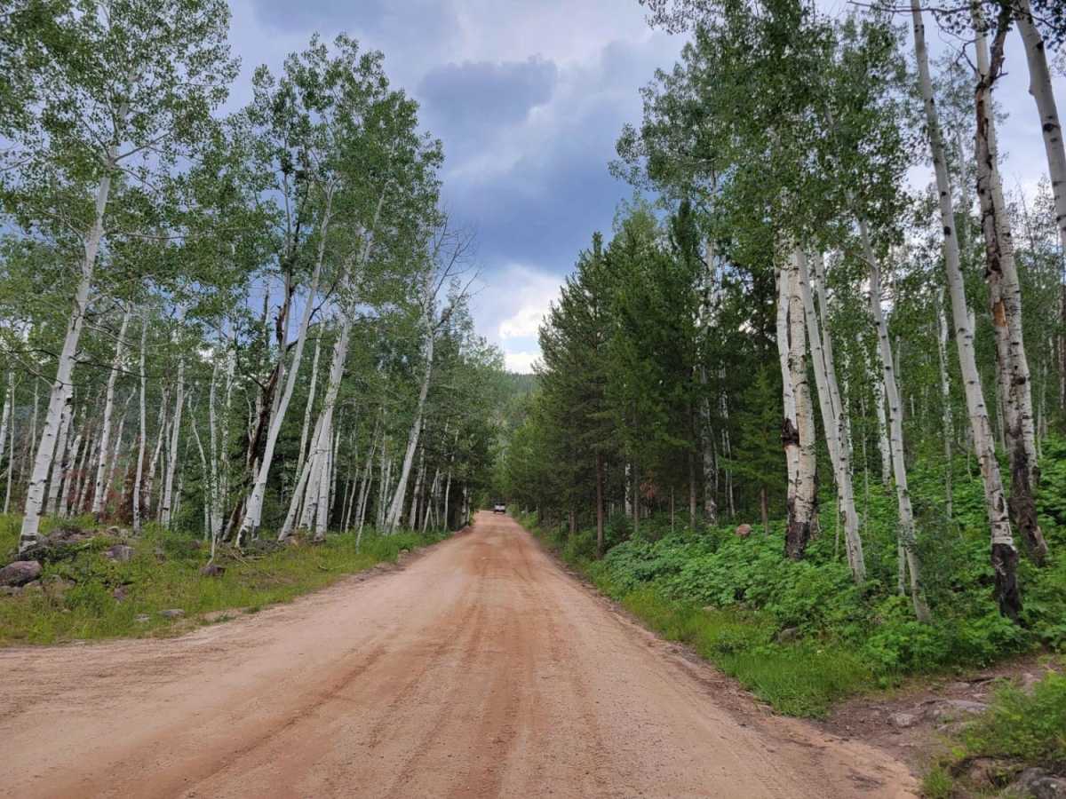 Soapstone Pass Trail photo 3
