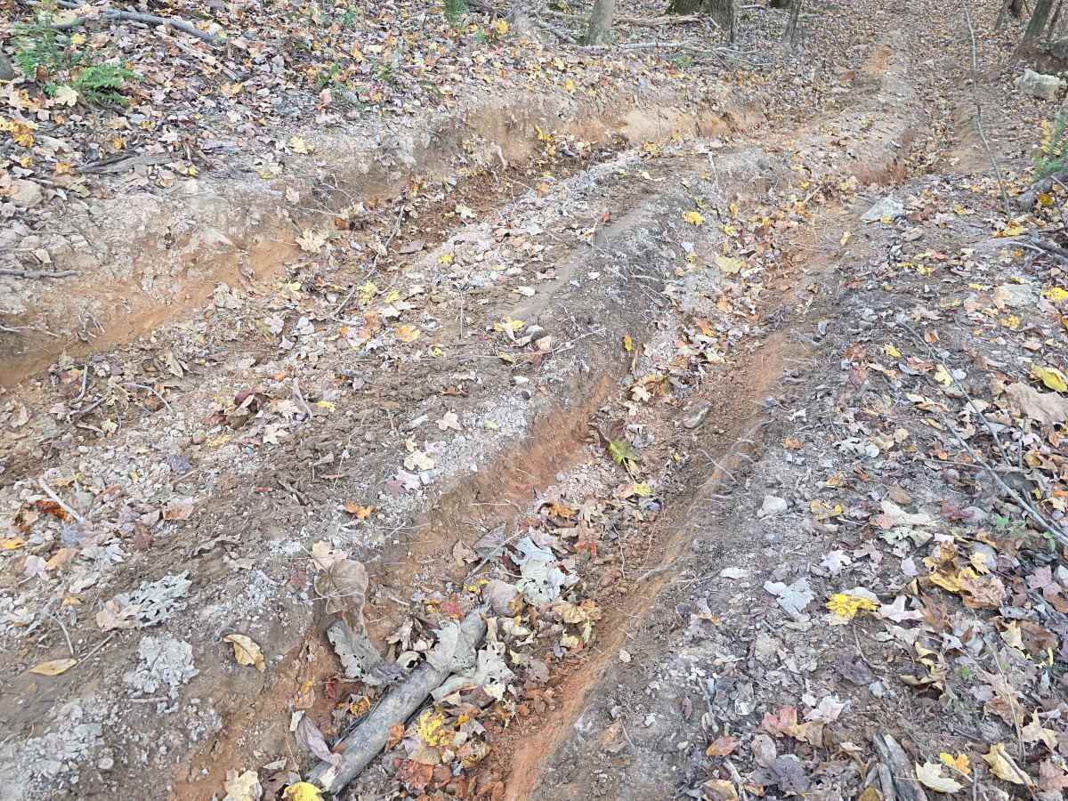 Maple Hill  photo 5