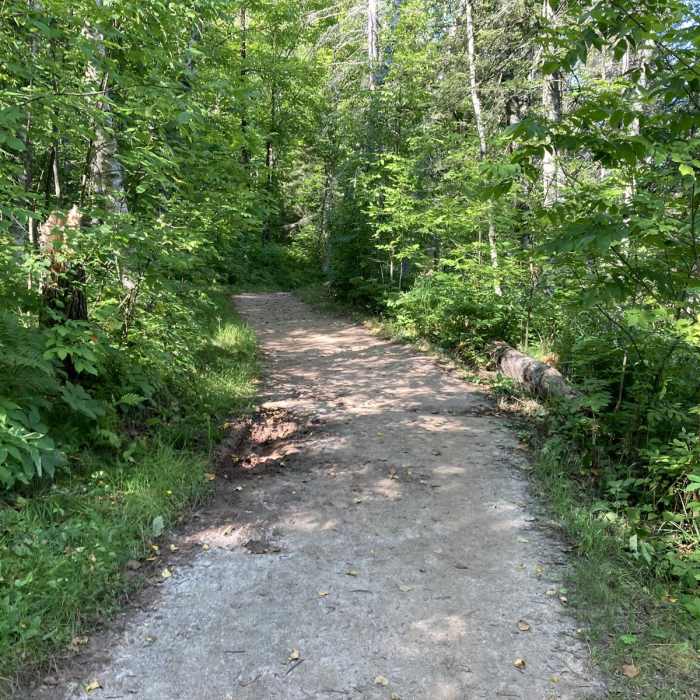 Near Silver Creek Trail Near Silver Creek Trail