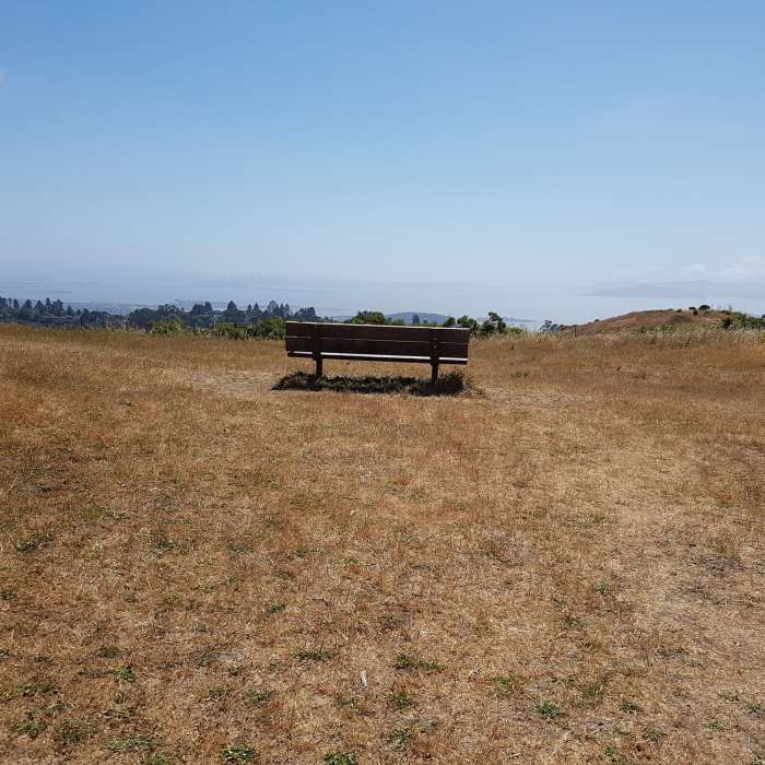 Near Conlon Trail