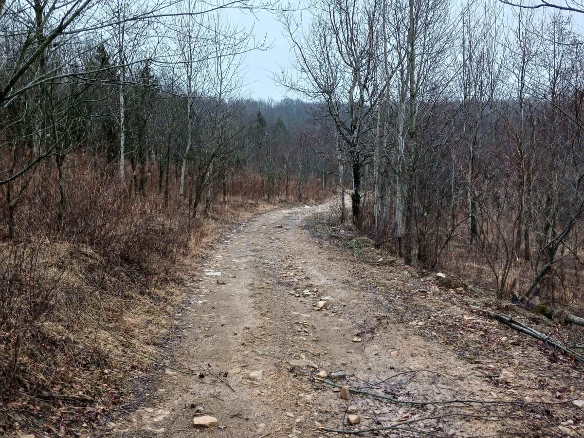 Rouge's Path - Rock Run Recreation Area photo 6