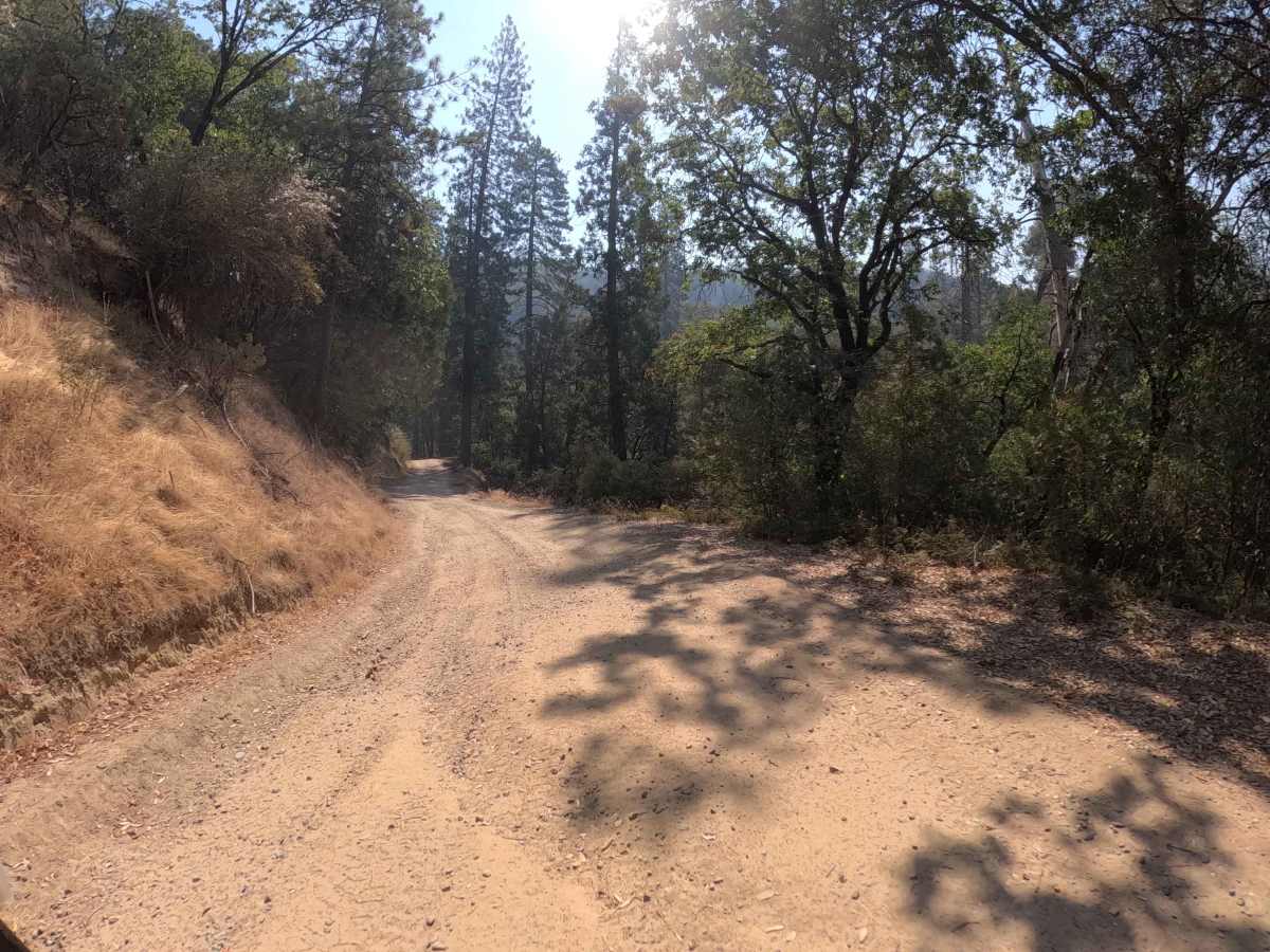 Ponderosa Fire Line - Lower - FS 6S017 photo 3