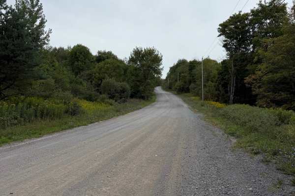 Carpenter Road