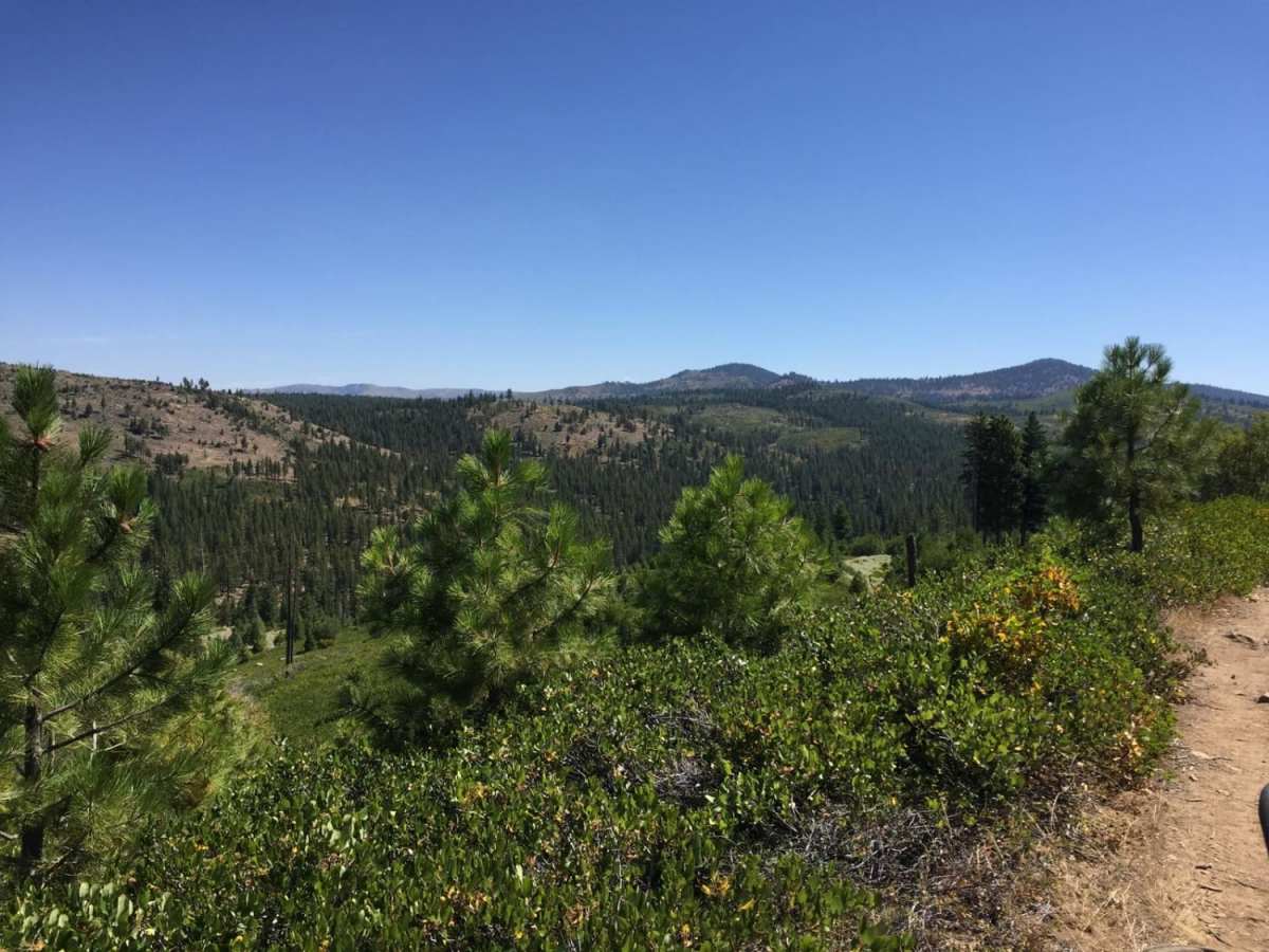 Bear Valley Loop Trail photo 6
