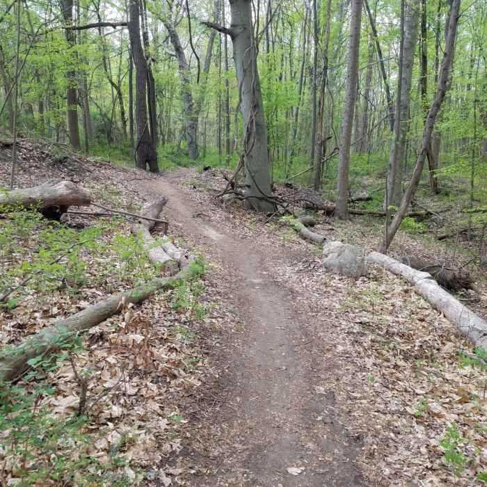 Near Fredericksburg Quarry Trails Hike