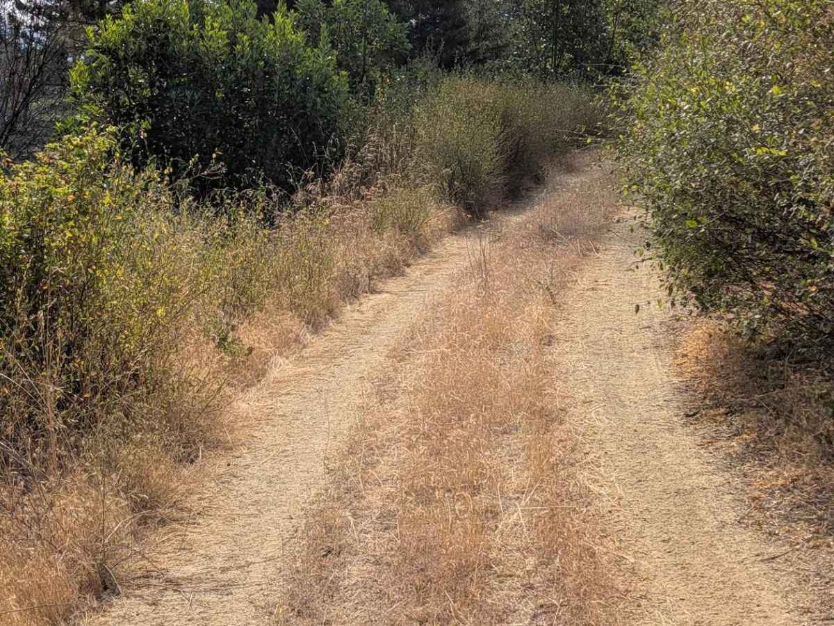 Little Creek Road - FS 32N16  photo 2