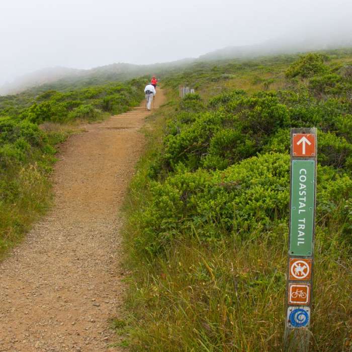 Near Coastal Trail, Rodeo Beach to Muir Beach