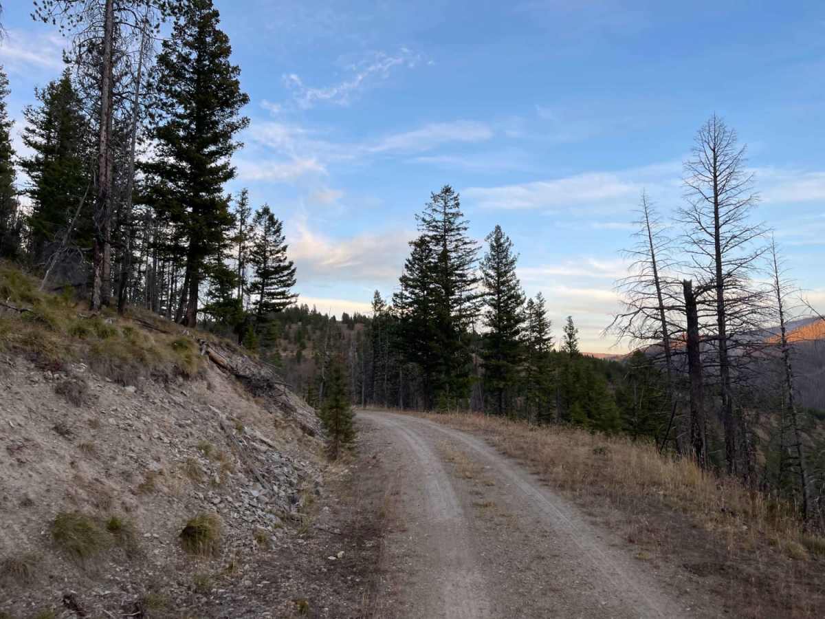 Woods Ridge Loop photo 6