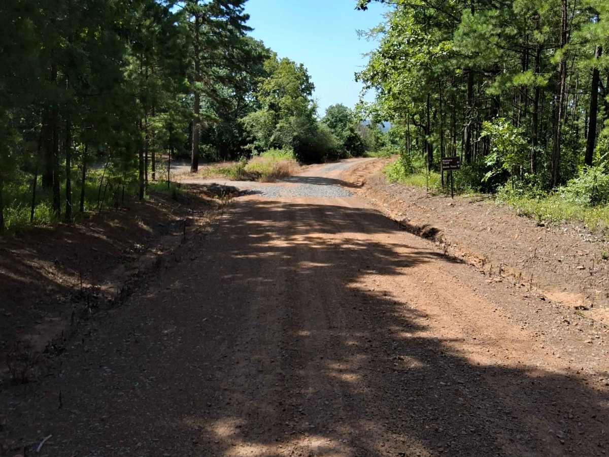 Birch Road photo 2