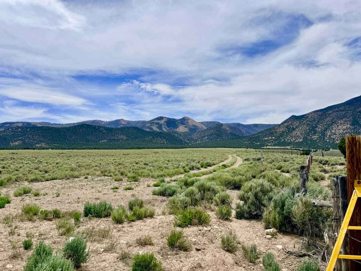 Sawmill Creek Loop Road - FS 44424 photo 4