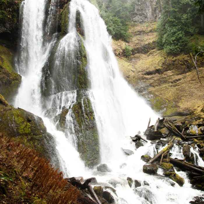 Near Falls Creek Falls