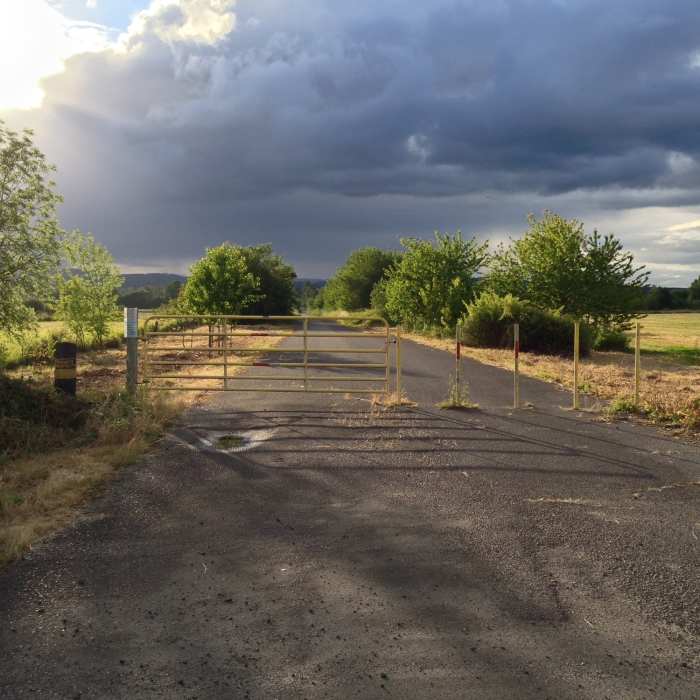 Near Crown Zellerbach Trail