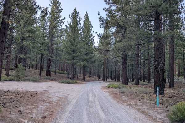 Manzanita Spur FS3S35A