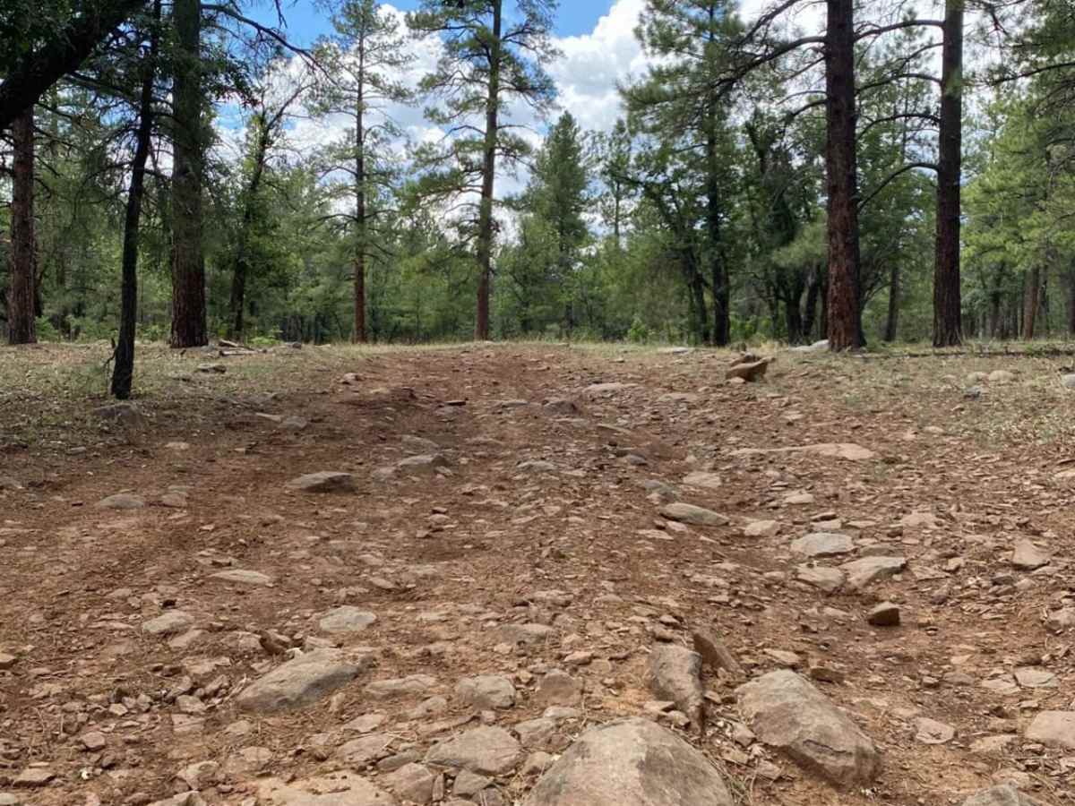 Thomas Point Connector photo 5