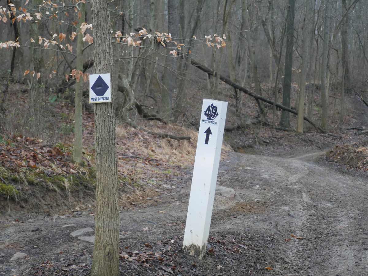 Trail 49 trail photo
