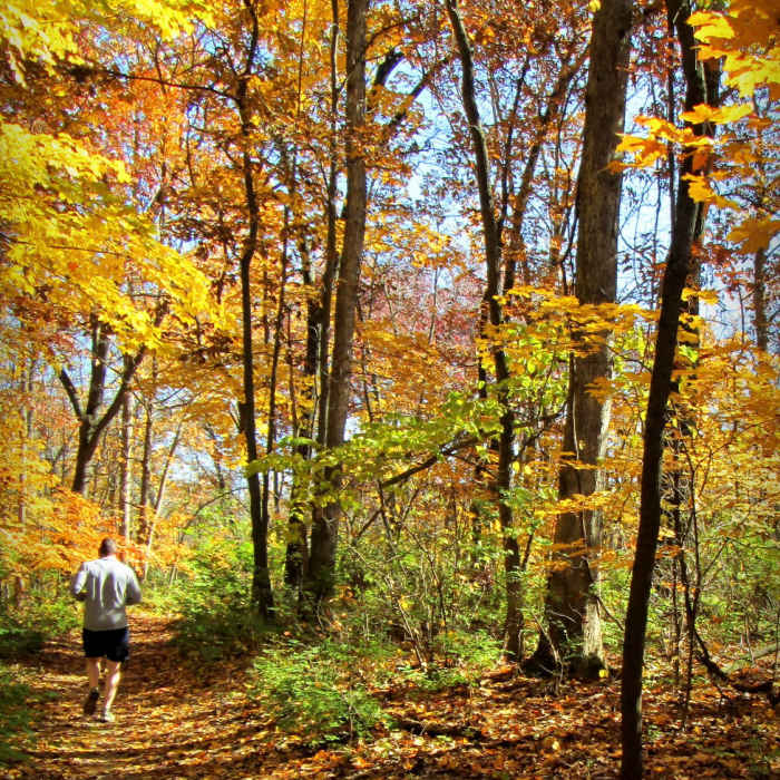Running along the inner loop of the Spring Valley Trail at Cliff Cave County Park Near Spring Valley Inner Loop