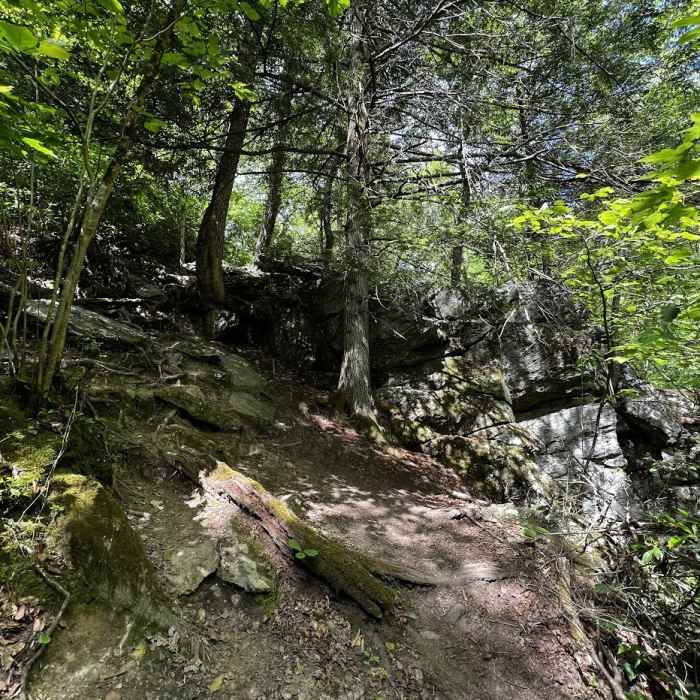 Near Prettyboy Dam Loop