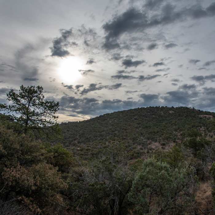 Near Madera Canyon Trail