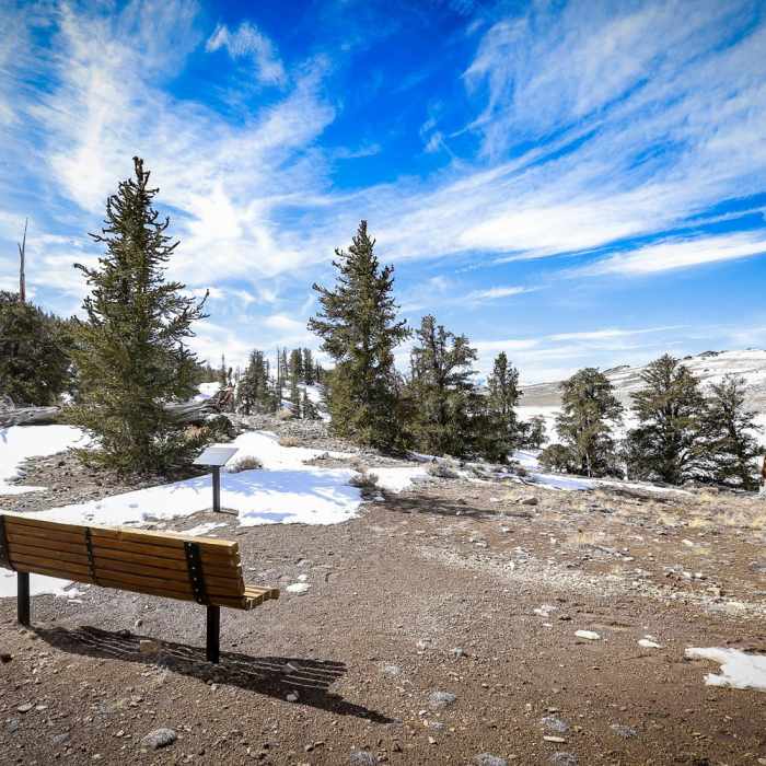 Near Discovery Trail