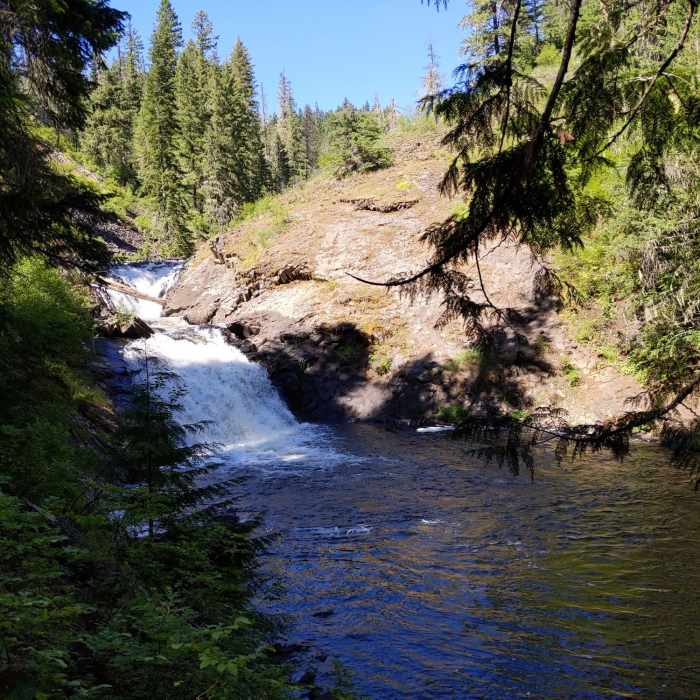 Near Elk Creek Falls