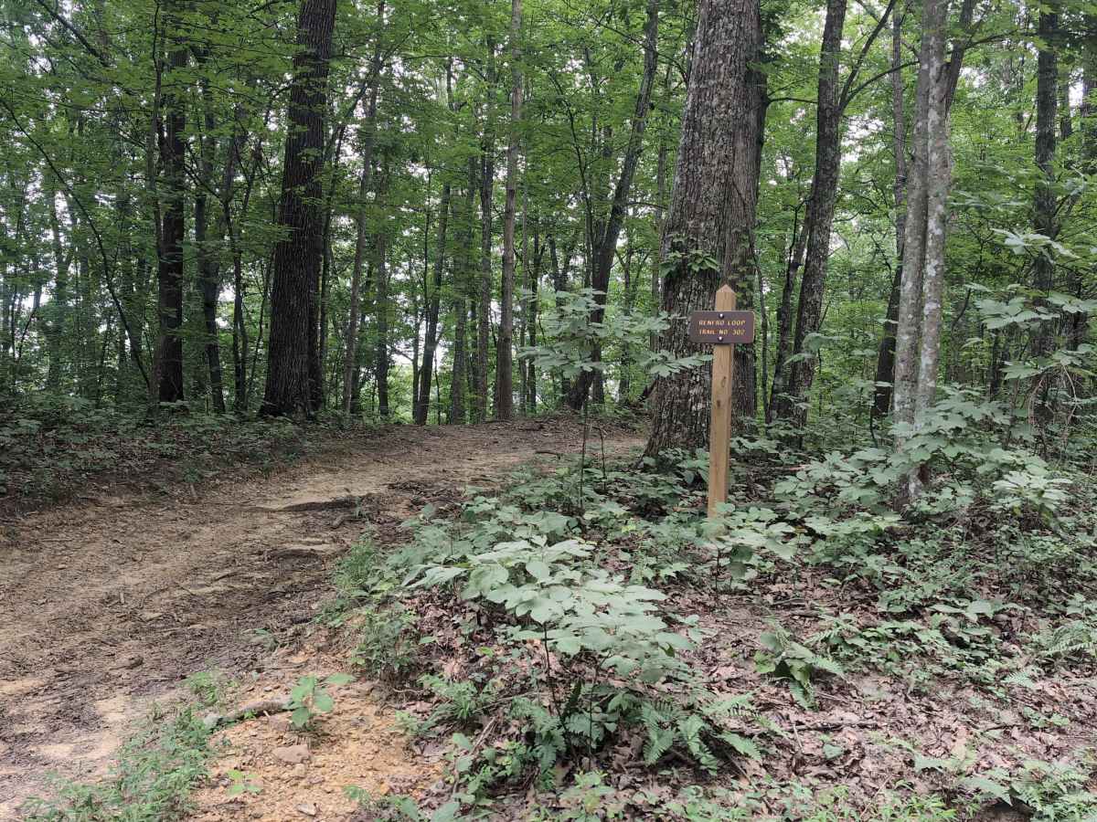 Renfro Loop photo 6