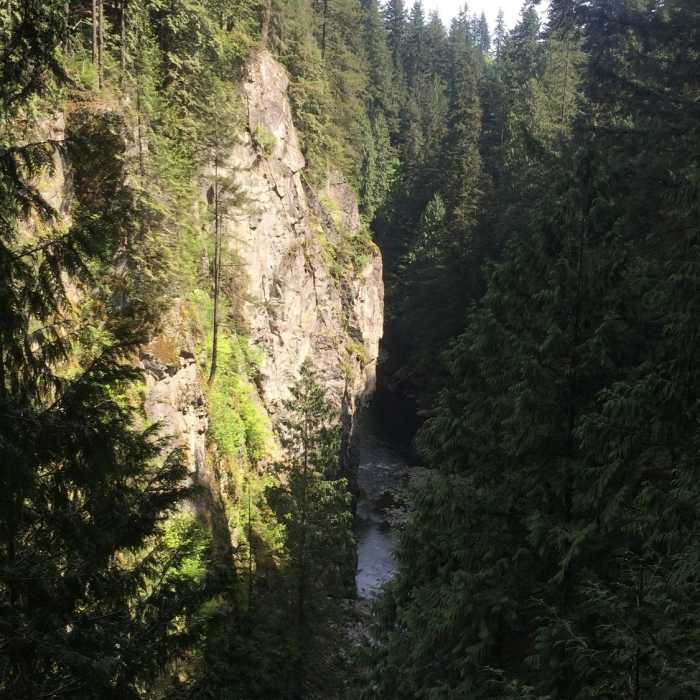 Near Capilano Pacific Trail (South)