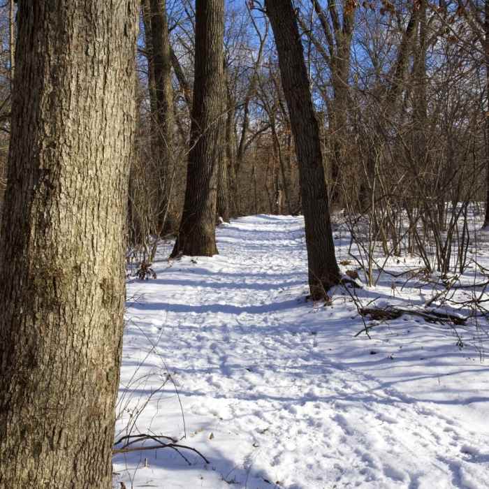 Calumet Dunes trail in the winter. Near Glenwood Dunes Trail