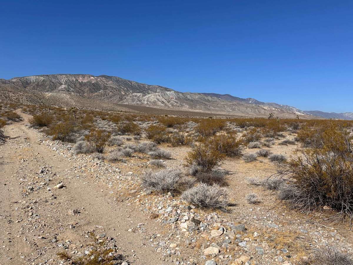 Tamarisk Mine Loop photo 2