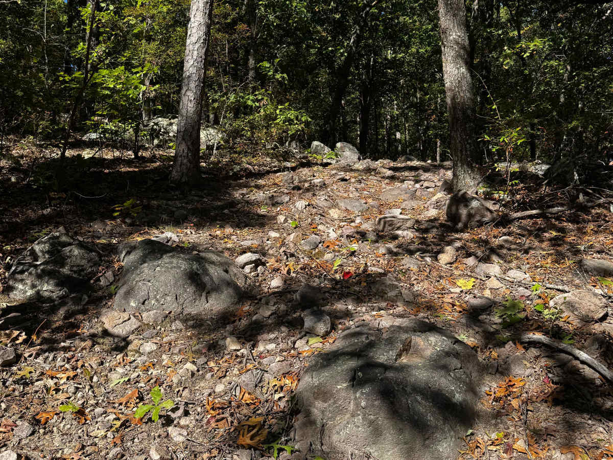 Side Piece Wow trail photo