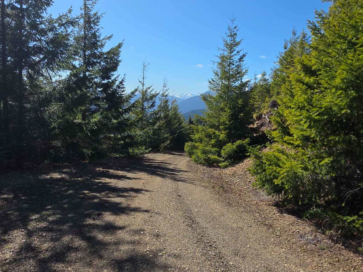 Buck Mountain Ridge Rd - FS 2060060 photo 4