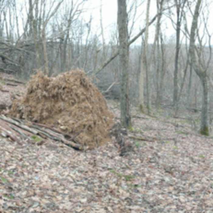 Near Hidden Valley Loop