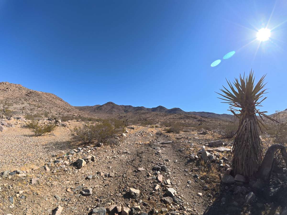 BLM 6604 trail photo