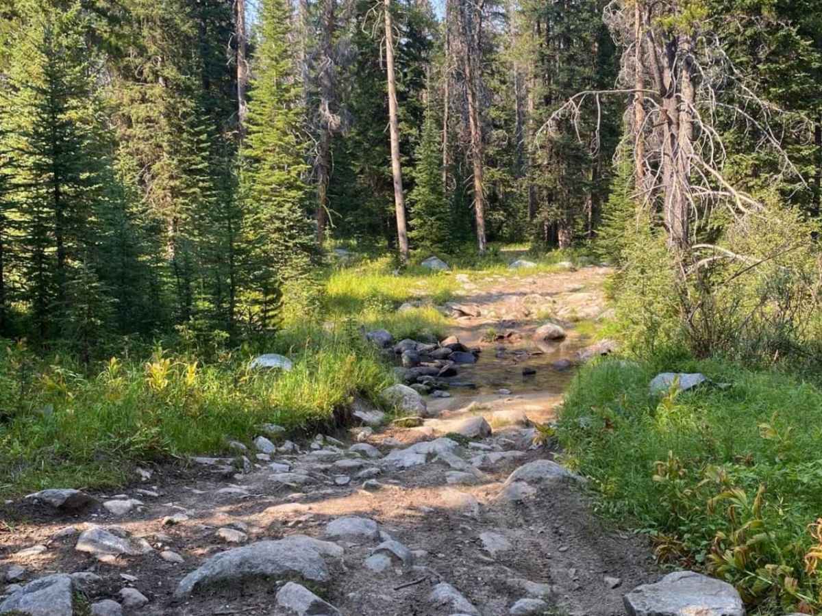 Thompson Lake photo 4