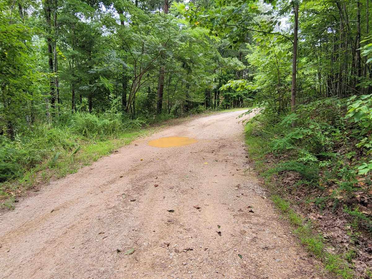 USFSR #644 Kentuck Mtwy trail photo