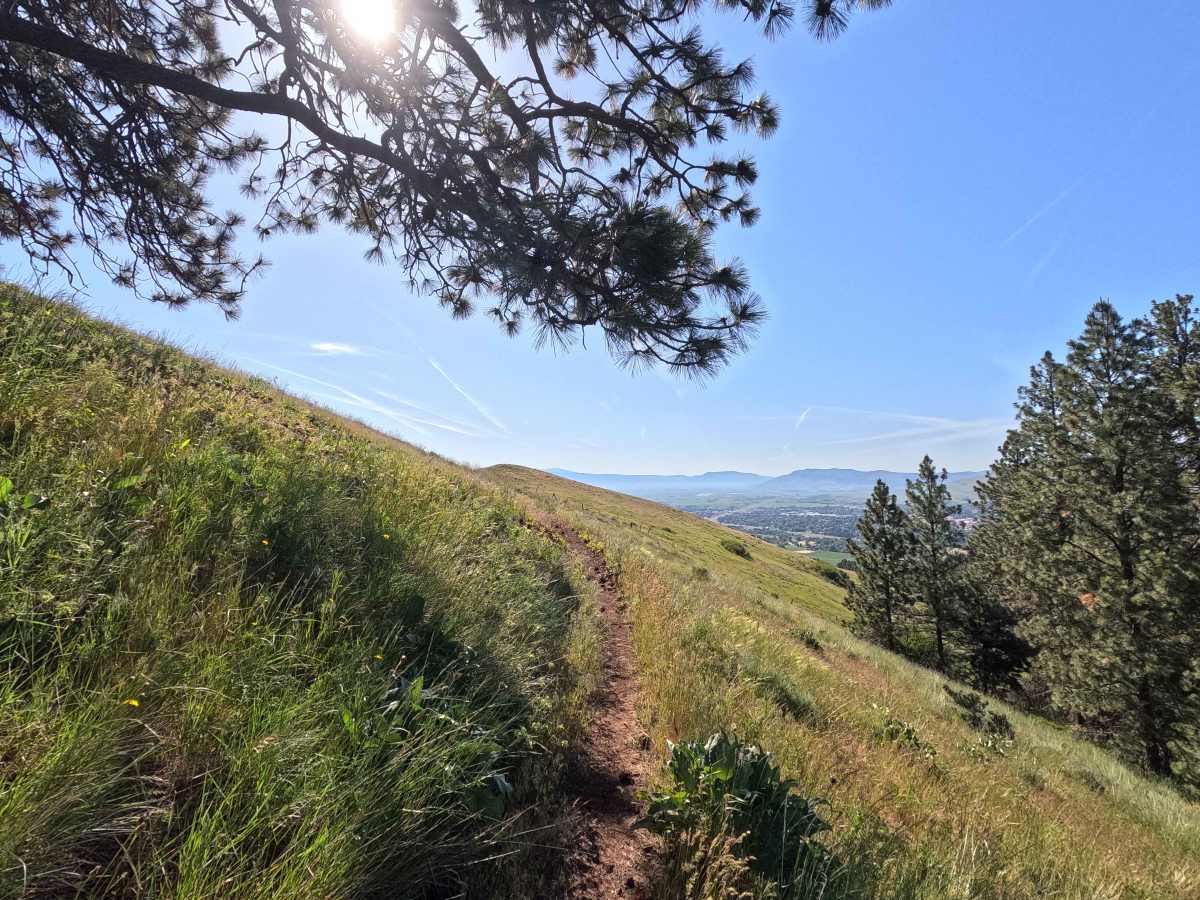 Fence Line - Trail 317 photo 2