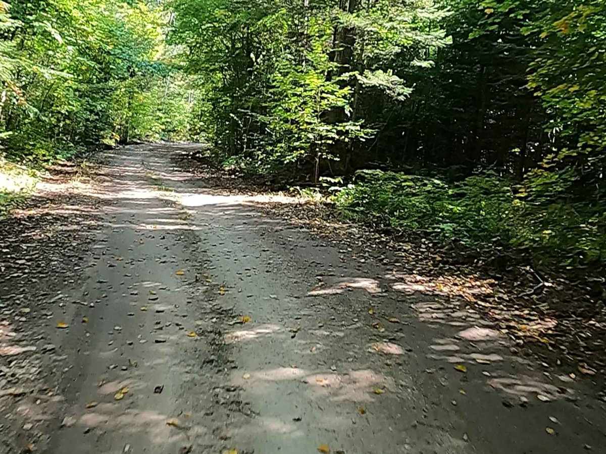 Quarry Road - FS 3123  photo 6