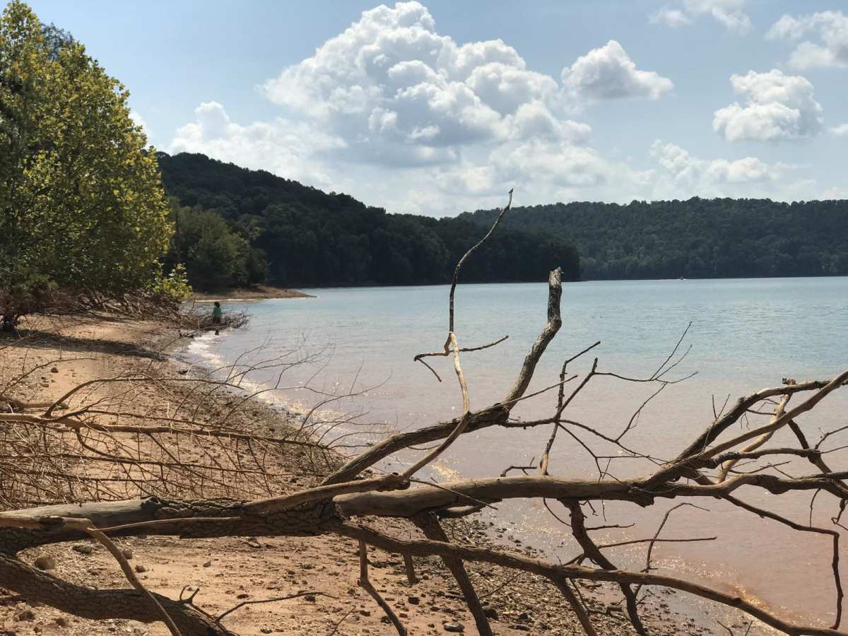 Mossy Springs trail photo