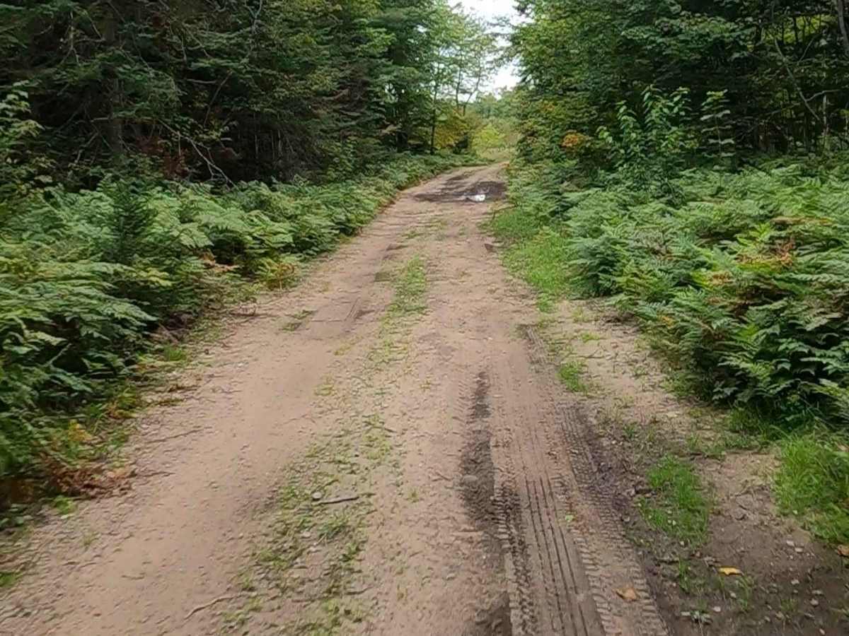 Lavender Lake Road photo 3