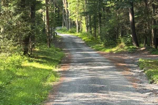 Truman Run Road