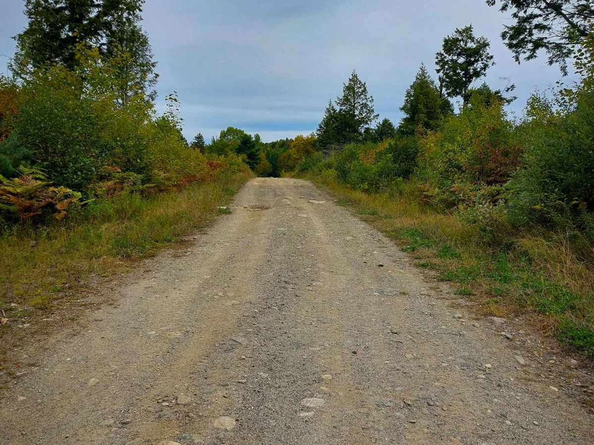 Gravel Island Road photo 4