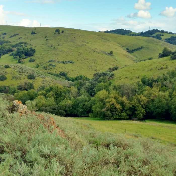 Near Stile Ranch Trail
