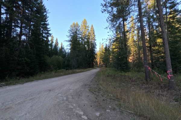 Drummond Creek - FS 9545