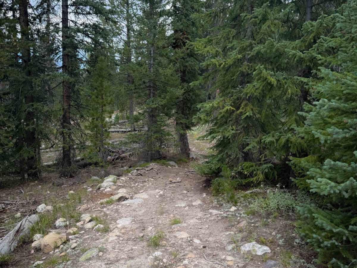 Broadhead Loop - FS 306A  photo 6