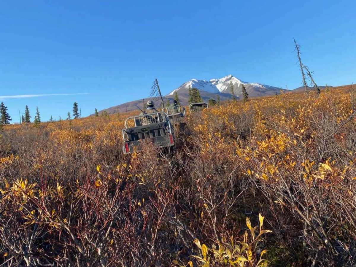 Gunsight Mountain photo 5