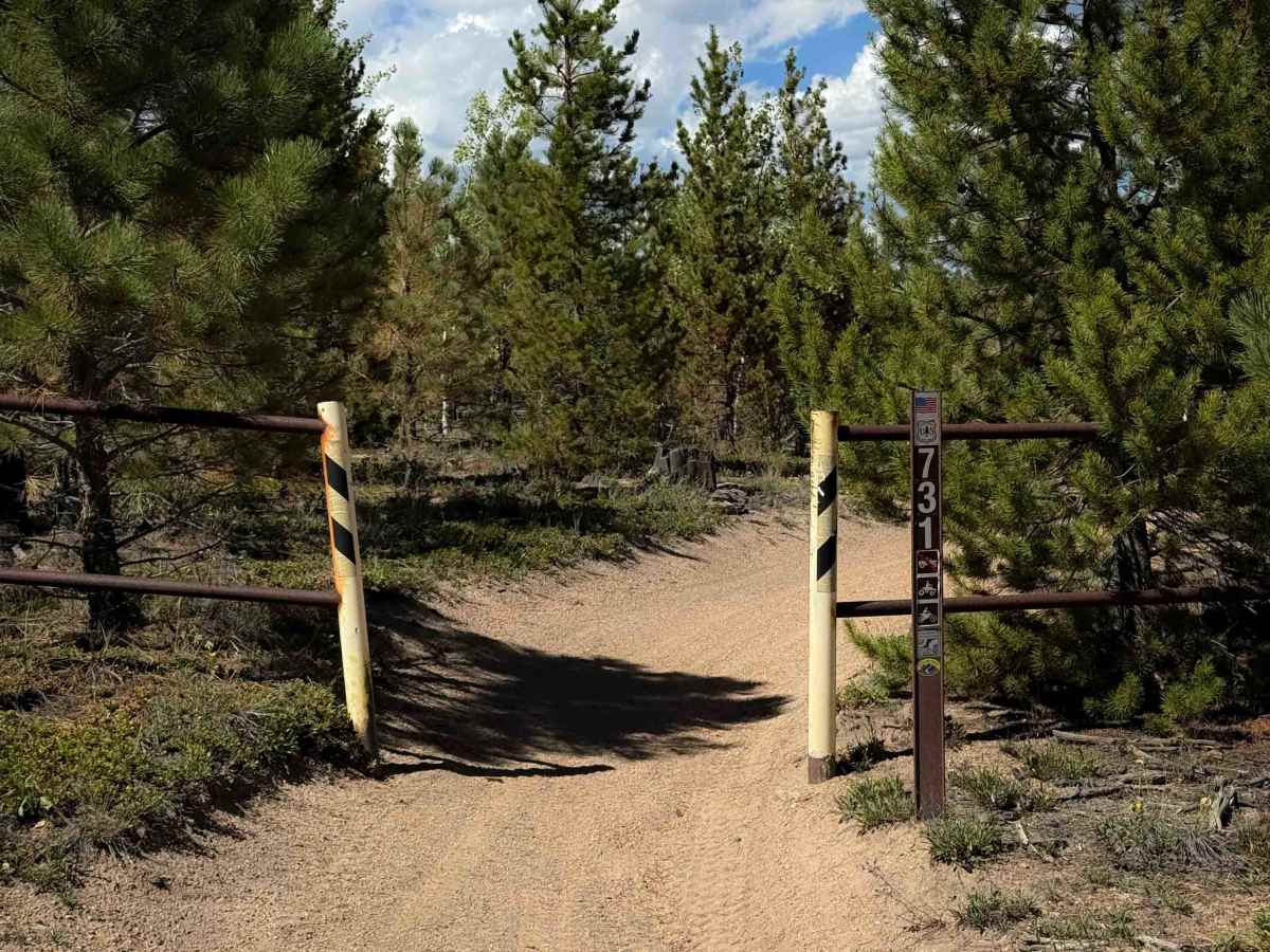 Turkey Creek 731  photo 6