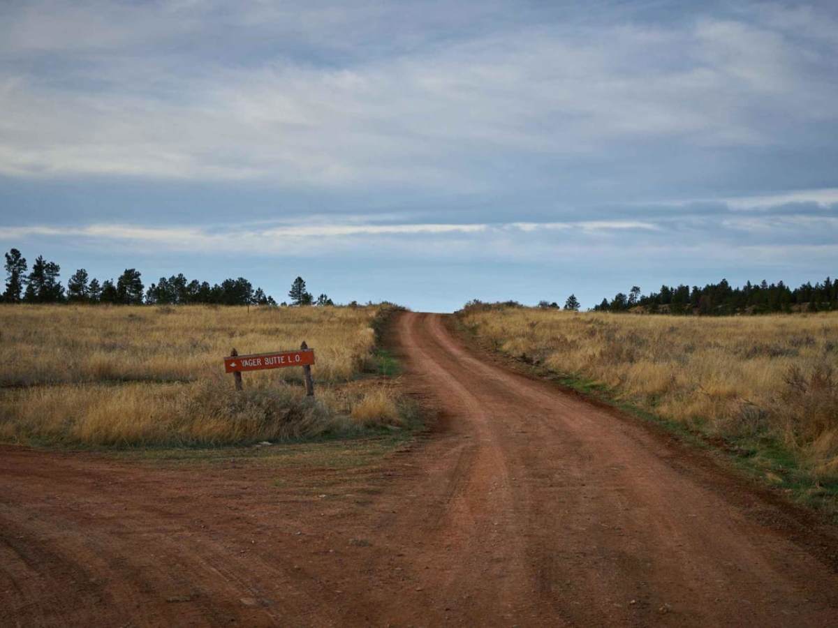 Lemonade Road Pt 2 photo 5