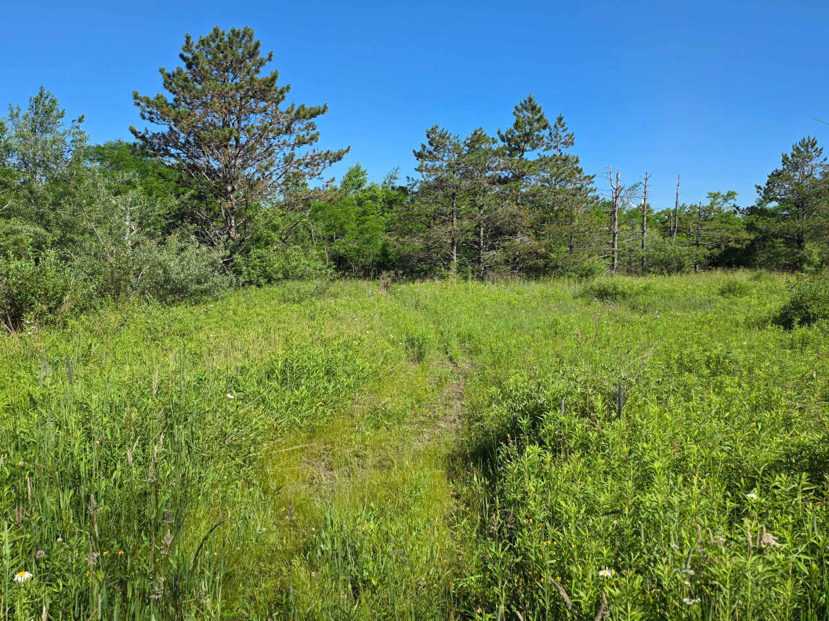 Single Track M1 photo 3
