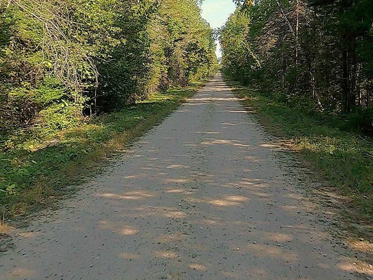 North Service Road - FS 3425 photo 2