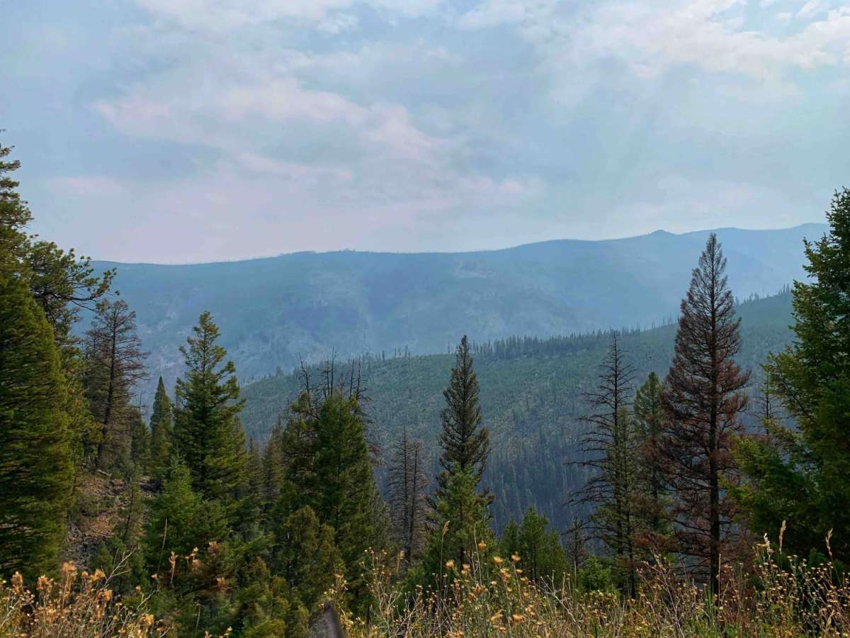 Sawmill Ridge Run photo 3
