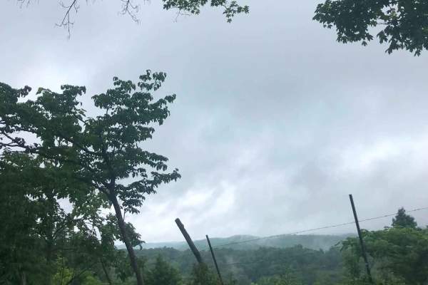 Old Forest Ridge Road